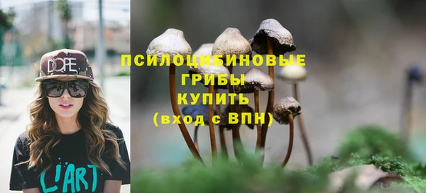 таблы Михайлов
