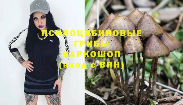 стафф Михайловка